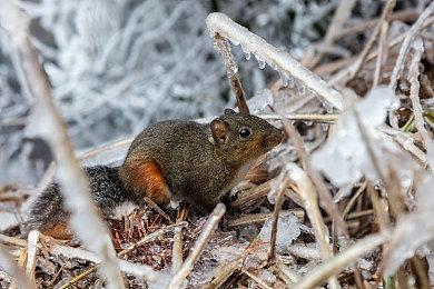 《夏天了！20世纪的暑假》新情报公开 7月28日发售